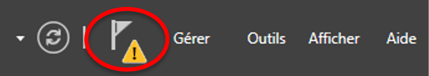 _images/drapeau-notification.png