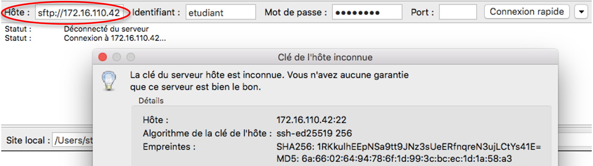 _images/filezilla-sftp.png