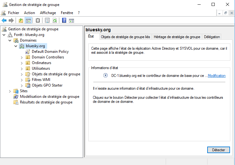 _images/gestion-gpo-bluesky.png